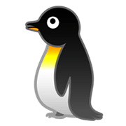 Émoji 🐧 Pingouin sur Google Android 10.0 March 2020 Feature Drop.