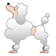 🐩 Emoji Pudel Google Android 10.0 March 2020 Feature Drop.
