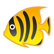 🐠 Emoji Tropenfisch Google Android 10.0 March 2020 Feature Drop.