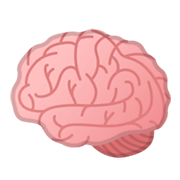 Émoji 🧠 Cerveau sur Google Android 10.0.