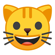 Emoji 🐱 Muso Di Gatto su Google Android 10.0.