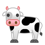 Émoji 🐄 Vache sur Google Android 10.0.