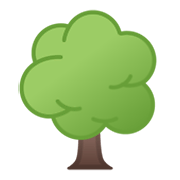 🌳 Emoji árvore Caidiça na Google Android 10.0.
