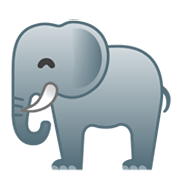 Emoji 🐘 Elefante su Google Android 10.0.