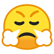 Emoji 😤 Faccina Che Sbuffa su Google Android 10.0.