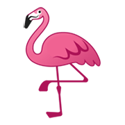 🦩 Emoji Flamingo Google Android 10.0.