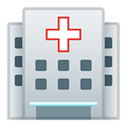 Emoji 🏥 Ospedale su Google Android 10.0.