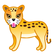 🐆 Emoji Leopardo na Google Android 10.0.