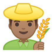 Emoji 👨🏽‍🌾 Contadino: Carnagione Olivastra su Google Android 10.0.