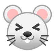 Emoji 🐭 Muso Di Topo su Google Android 10.0.