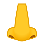 Emoji 👃 Naso su Google Android 10.0.