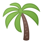 🌴 Emoji Palmeira na Google Android 10.0.