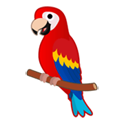 🦜 Emoji Papagaio na Google Android 10.0.
