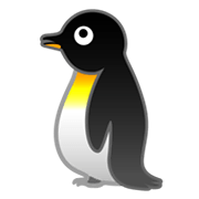 Emoji 🐧 Pinguino su Google Android 10.0.