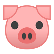 🐷 Emoji Rosto De Porco na Google Android 10.0.