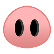 🐽 Emoji Schweinerüssel Google Android 10.0.