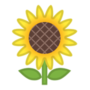 🌻 Emoji Sonnenblume Google Android 10.0.