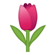 🌷 Emoji Tulipa na Google Android 10.0.