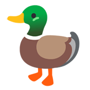 🦆 Emoji Pato na Google Android 11.0 December 2020 Feature Drop.