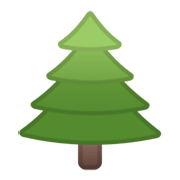 Emoji 🌲 Albero Sempreverde su Google Android 11.0 December 2020 Feature Drop.