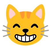 Emoji 😸 Gatto Che Sogghigna su Google Android 11.0 December 2020 Feature Drop.