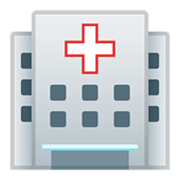 Emoji 🏥 Ospedale su Google Android 11.0 December 2020 Feature Drop.