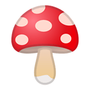 🍄 Emoji Cogumelo na Google Android 11.0 December 2020 Feature Drop.