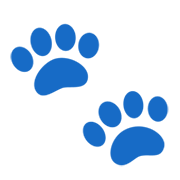 Emoji 🐾 Impronte Di Zampe su Google Android 11.0 December 2020 Feature Drop.