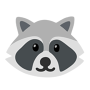 🦝 Emoji Guaxinim na Google Android 11.0 December 2020 Feature Drop.