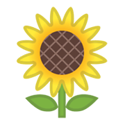 🌻 Emoji Sonnenblume Google Android 11.0 December 2020 Feature Drop.
