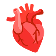 🫀 Emoji Corazón anatómico en Google Android 11.0.