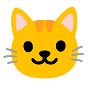 Emoji 🐱 Muso Di Gatto su Google Android 11.0.
