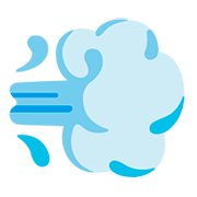 Emoji 💨 Nuvola Di Polvere su Google Android 11.0.