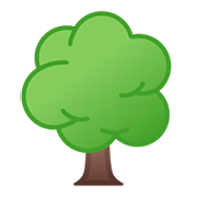 🌳 Emoji árbol De Hoja Caduca en Google Android 11.0.