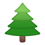 🌲 Emoji árbol De Hoja Perenne en Google Android 11.0.
