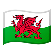 🏴󠁧󠁢󠁷󠁬󠁳󠁿 Emoji Bandera: Gales en Google Android 11.0.