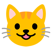 Emoji 😺 Gatto Che Sorride su Google Android 11.0.