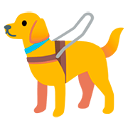 🦮 Emoji Perro Guía en Google Android 11.0.