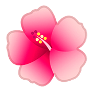 🌺 Emoji Flor De Hibisco en Google Android 11.0.