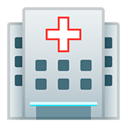 Émoji 🏥 Hôpital sur Google Android 11.0.