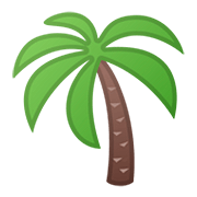 🌴 Emoji Palmeira na Google Android 11.0.