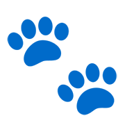 Emoji 🐾 Impronte Di Zampe su Google Android 11.0.