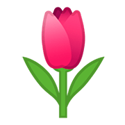 Émoji 🌷 Tulipe sur Google Android 11.0.