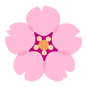 Emoji 🌸 Fiore Di Ciliegio su Google Android 12.0.
