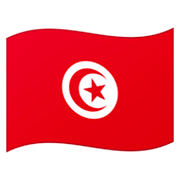 Émoji 🇹🇳 Drapeau : Tunisie sur Google Android 12.0.