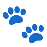 Émoji 🐾 Empreintes D’animaux sur Google Android 12.0.