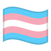 Emoji 🏳️‍⚧ Bandiera Transgender su Google Android 12.0.
