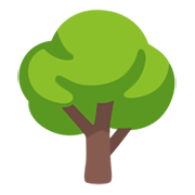 🌳 Emoji árbol De Hoja Caduca en Google Android 12L.