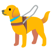 Emoji 🦮 Cane Guida su Google Android 12L.
