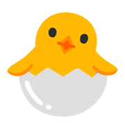 Emoji 🐣 Pulcino Che Nasce su Google Android 12L.